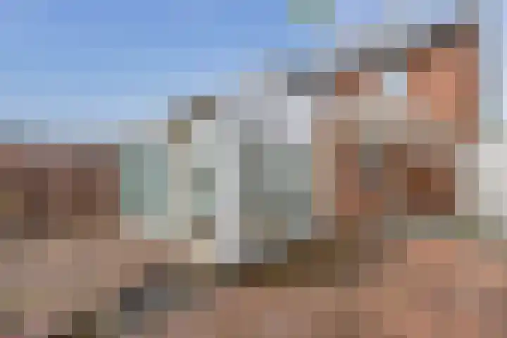 Kamillestraat 17 Waalwijk thumbnail 17