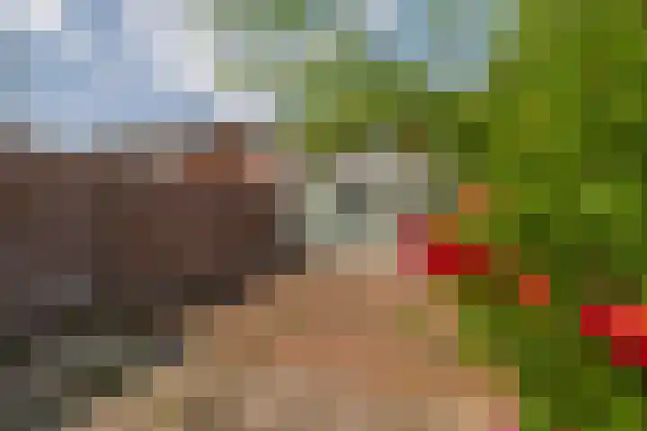 Kamillestraat 17 Waalwijk thumbnail 20