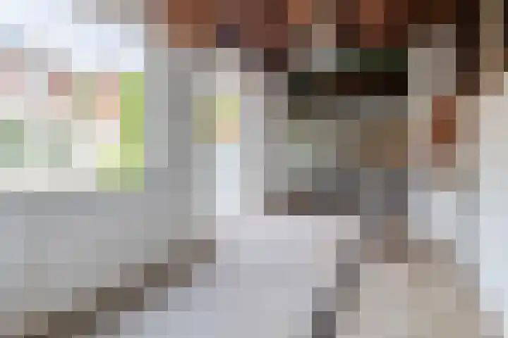 Kamillestraat 17 Waalwijk thumbnail 21