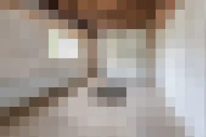 Kamillestraat 17 Waalwijk thumbnail 23