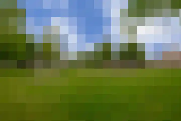 Kamillestraat 17 Waalwijk thumbnail 33