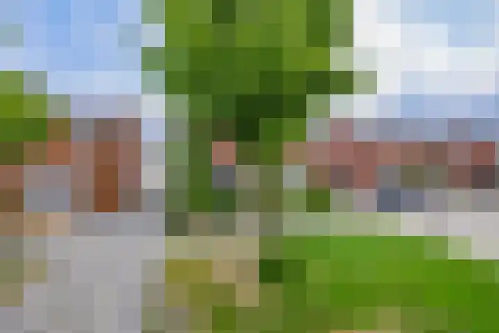 Kamillestraat 17 Waalwijk thumbnail 4