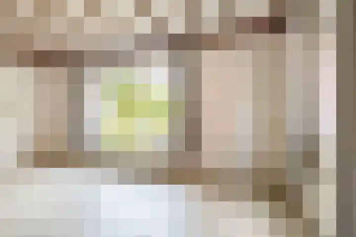 Kamillestraat 17 Waalwijk thumbnail 5