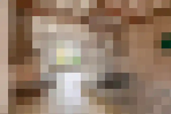 Kamillestraat 17 Waalwijk thumbnail 8