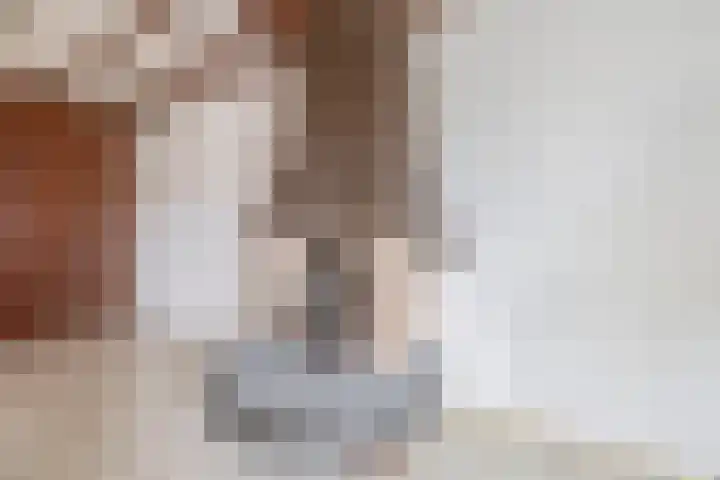 Kamillestraat 17 Waalwijk thumbnail 9
