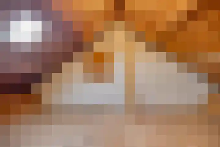 Kamillestraat 18 Krommenie thumbnail 23