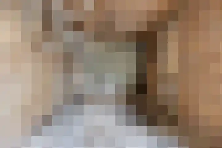 Kamillestraat 18 Krommenie thumbnail 26