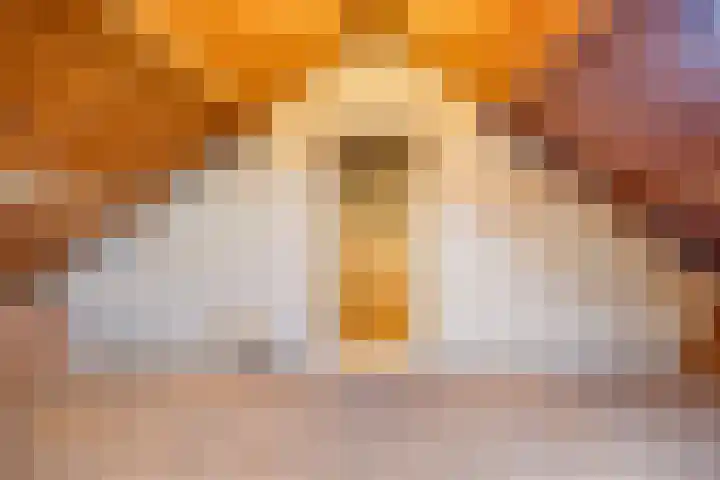 Kamillestraat 18 Krommenie thumbnail 4
