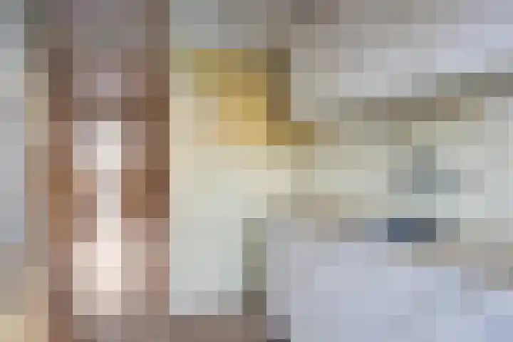 Kamillestraat 18 Krommenie thumbnail 8