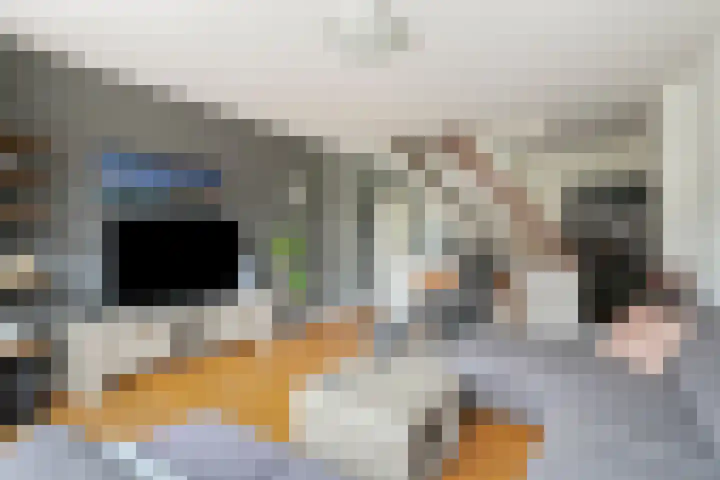 Kamillestraat 19 Apeldoorn thumbnail 13