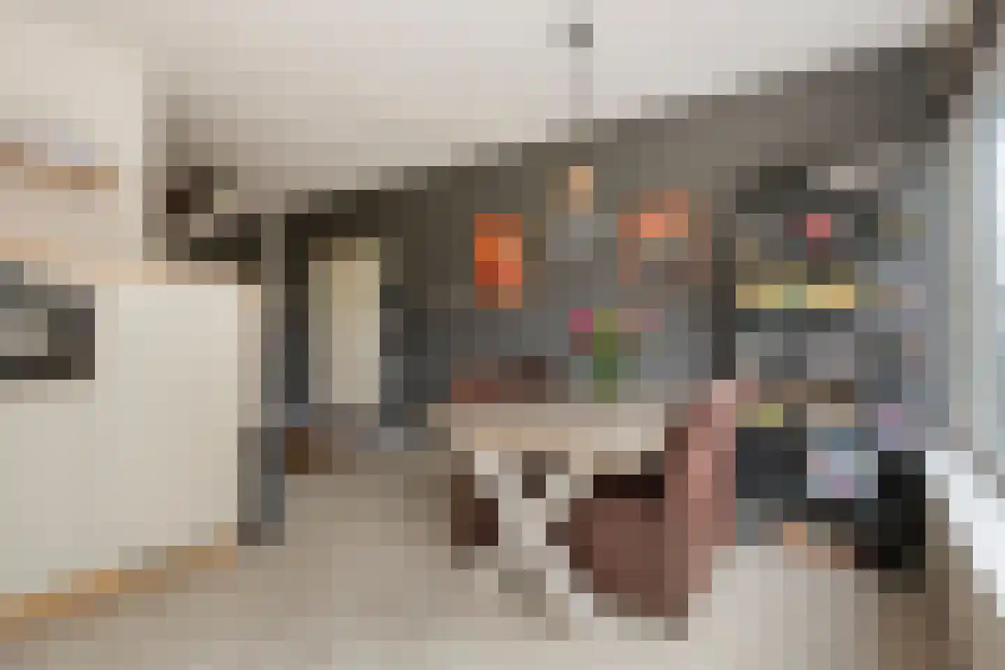 Kamillestraat 19 Apeldoorn thumbnail 15