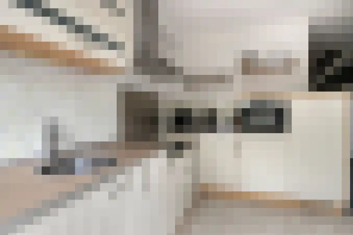 Kamillestraat 19 Apeldoorn thumbnail 16