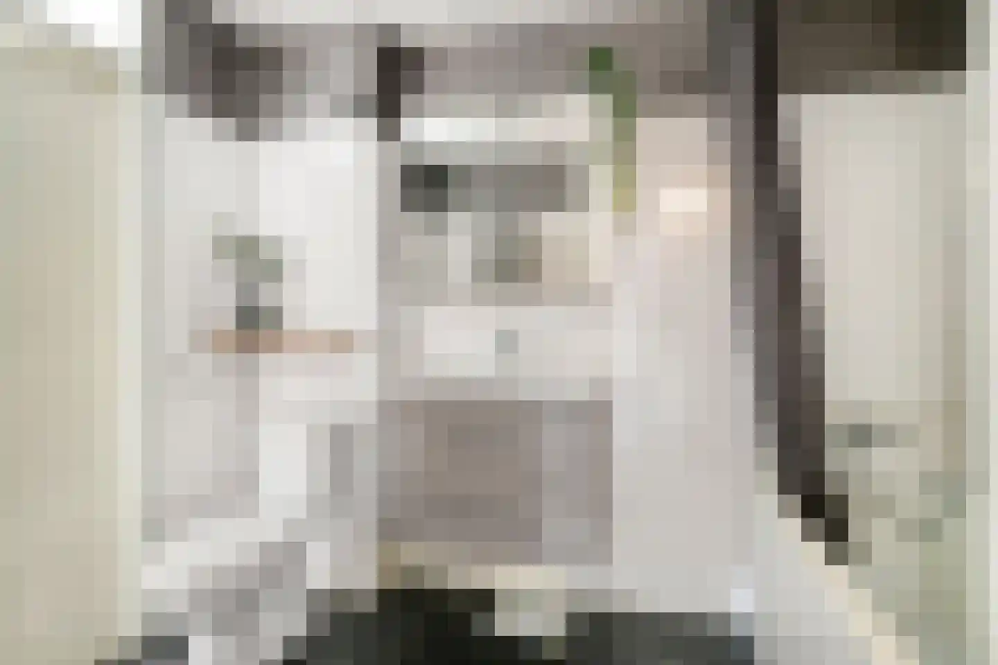 Kamillestraat 19 Apeldoorn thumbnail 21