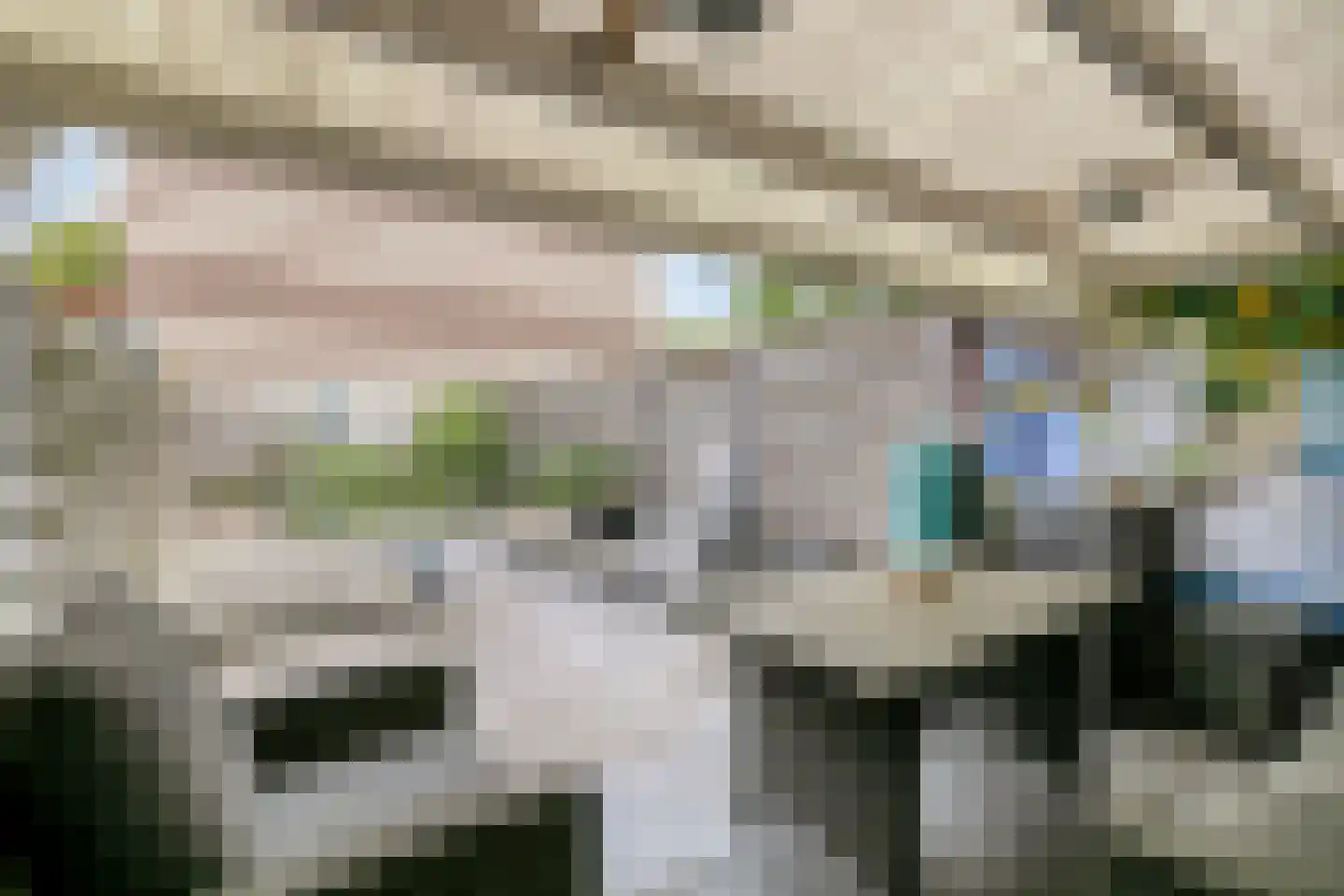 Kamillestraat 19 Apeldoorn thumbnail 27