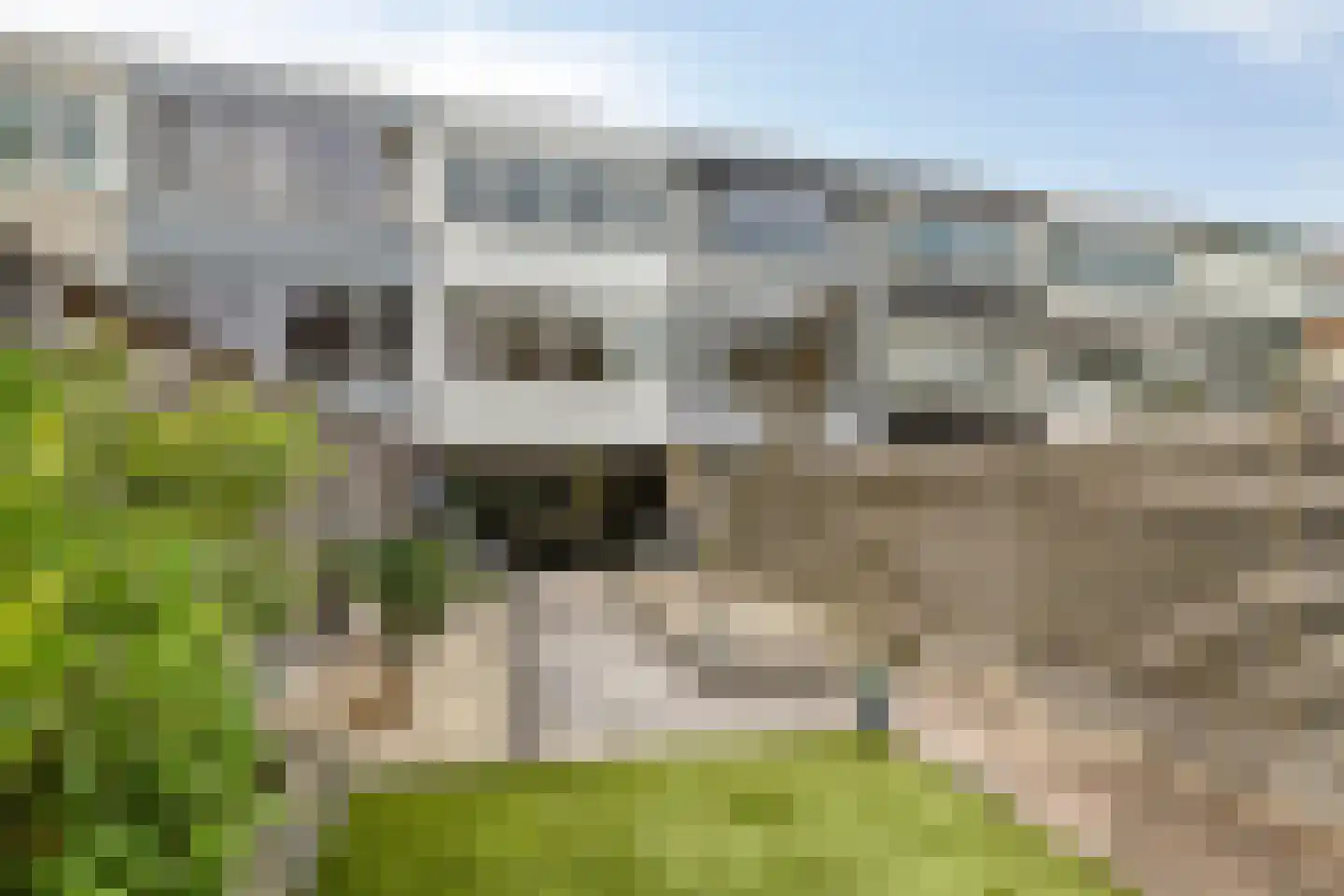 Kamillestraat 19 Apeldoorn thumbnail 29
