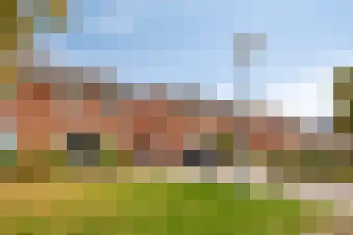 Kamillestraat 19 Waalwijk thumbnail 10