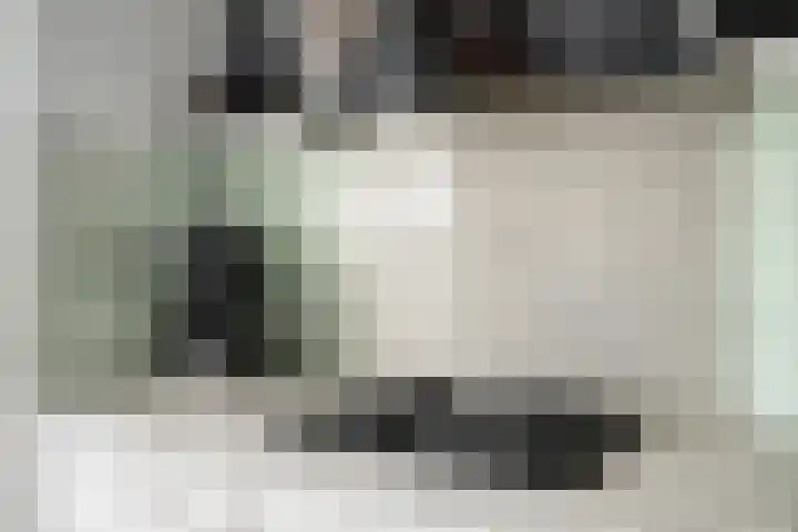Kamillestraat 20 Beek en Donk thumbnail 14