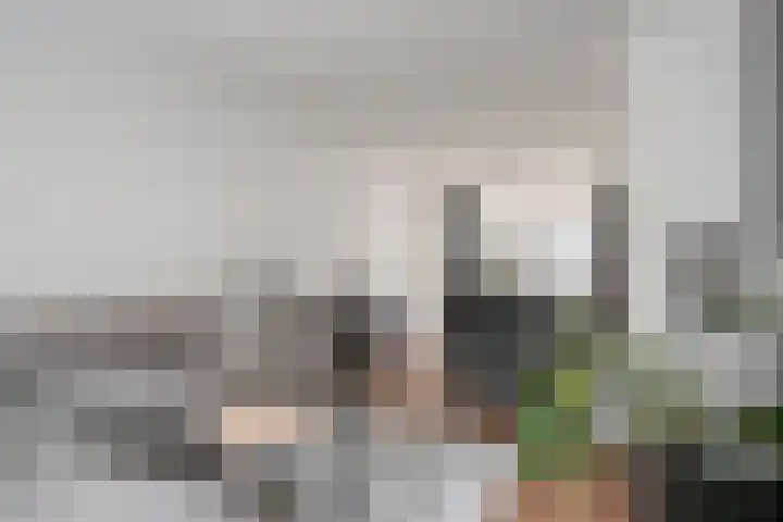Kamillestraat 20 Beek en Donk thumbnail 18