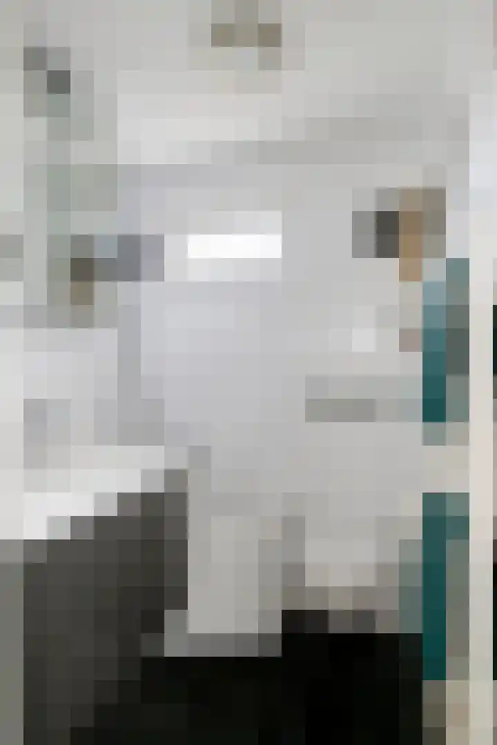 Kamillestraat 20 Beek en Donk thumbnail 22