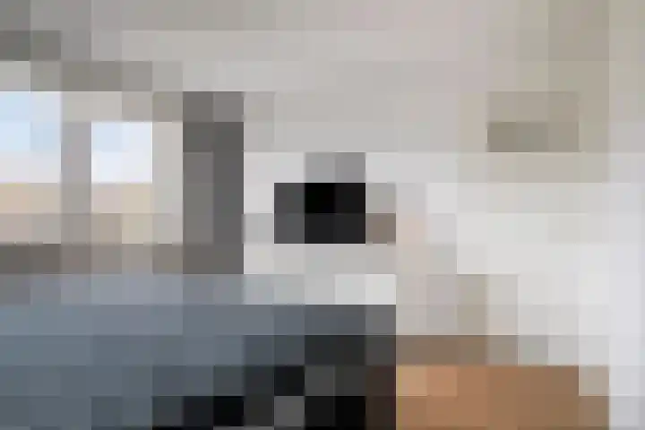Kamillestraat 20 Beek en Donk thumbnail 28