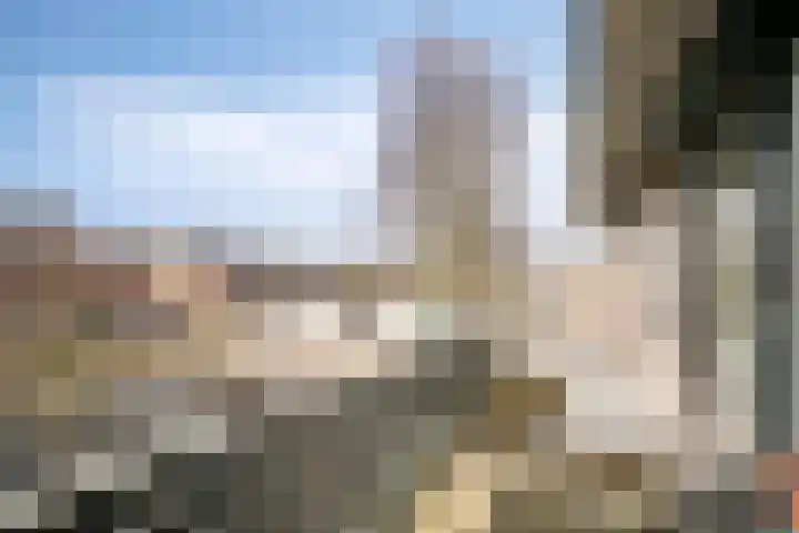 Kamillestraat 20 Beek en Donk thumbnail 29