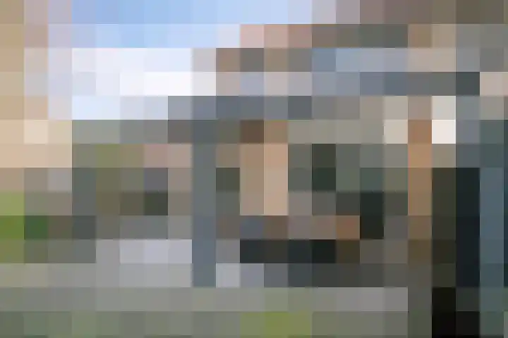 Kamillestraat 20 Beek en Donk thumbnail 35