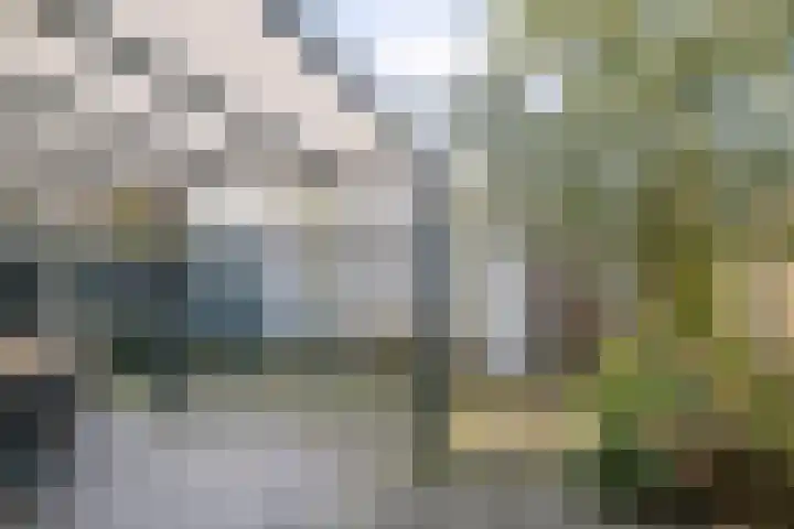 Kamillestraat 20 Beek en Donk thumbnail 36