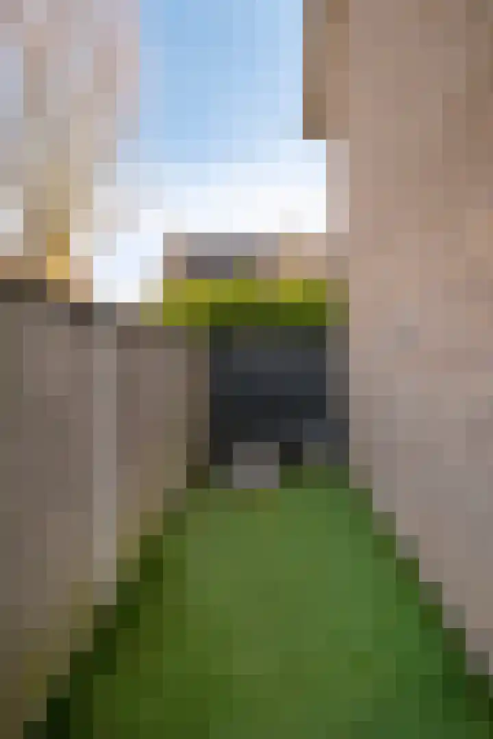 Kamillestraat 20 Beek en Donk thumbnail 39