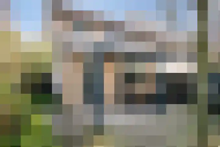 Kamillestraat 20 Beek en Donk thumbnail 4