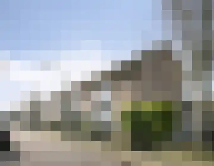 Kamillestraat 20 Beek en Donk thumbnail 43