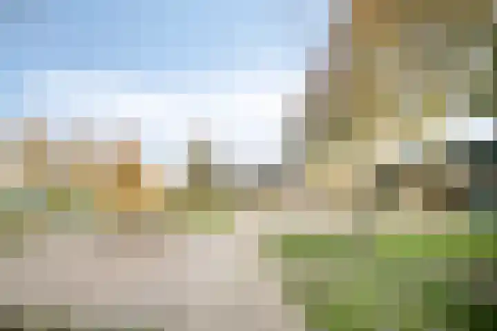 Kamillestraat 20 Beek en Donk thumbnail 44