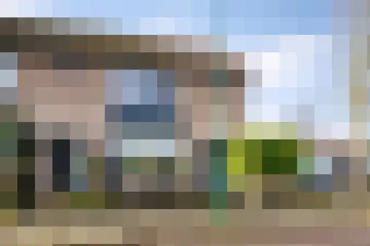 Kamillestraat 20 Beek en Donk thumbnail 5
