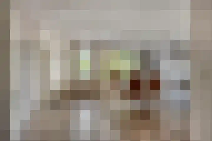 Kamillestraat 21 Aalst thumbnail 11