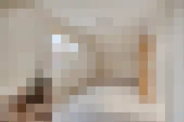 Kamillestraat 21 Aalst thumbnail 25