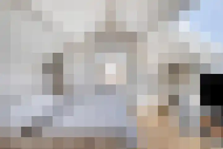 Kamillestraat 21 Scharendijke thumbnail 18