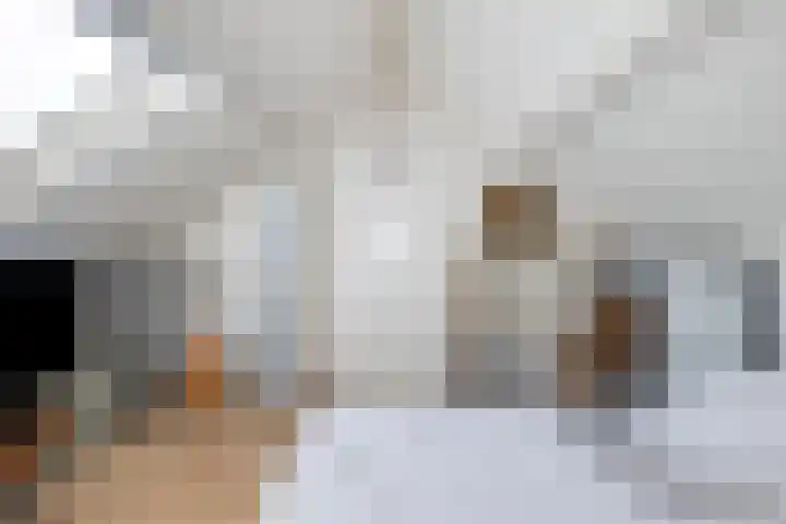 Kamillestraat 21 Scharendijke thumbnail 19