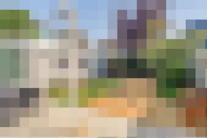 Kamillestraat 21 Scharendijke thumbnail 20