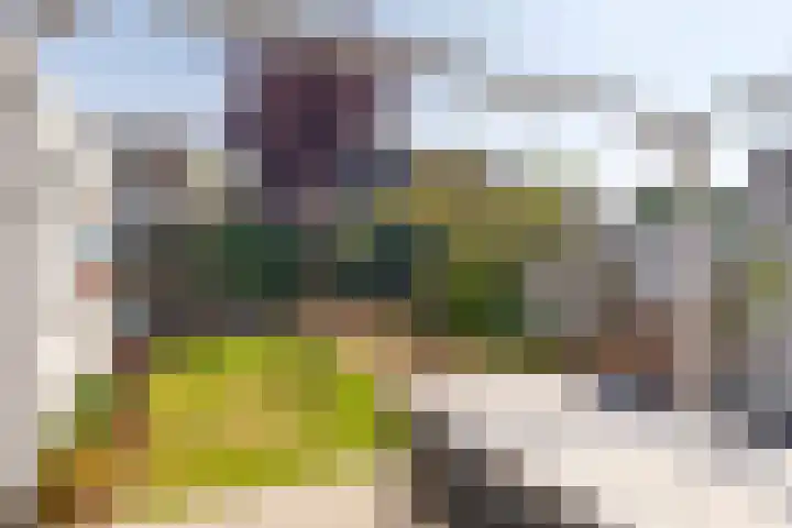 Kamillestraat 21 Scharendijke thumbnail 21