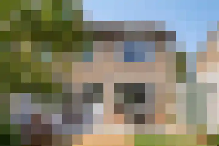Kamillestraat 21 Scharendijke thumbnail 22