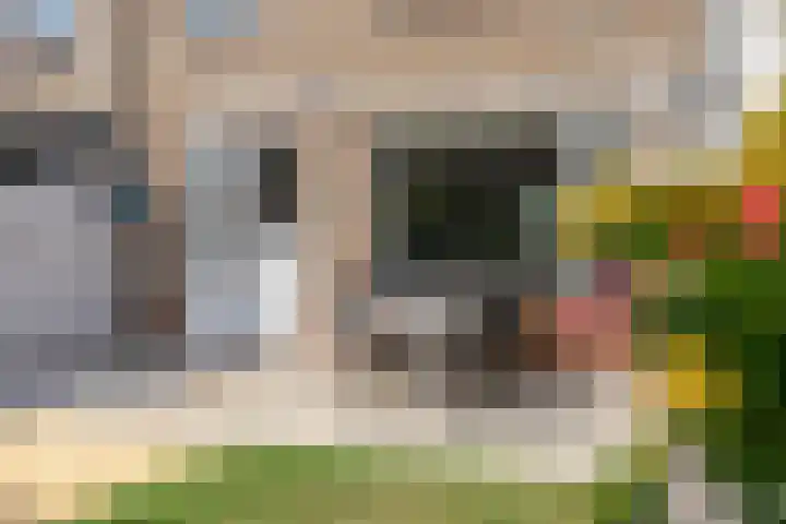Kamillestraat 21 Scharendijke thumbnail 23