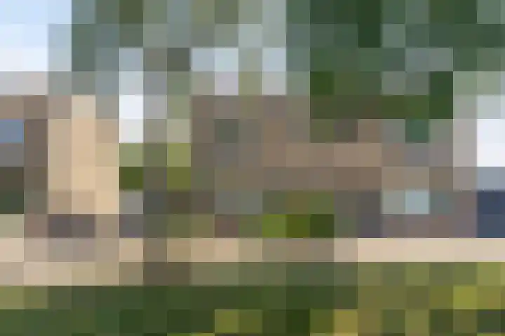 Kamillestraat 21 Scharendijke thumbnail 24