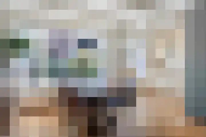 Kamillestraat 21 Scharendijke thumbnail 6