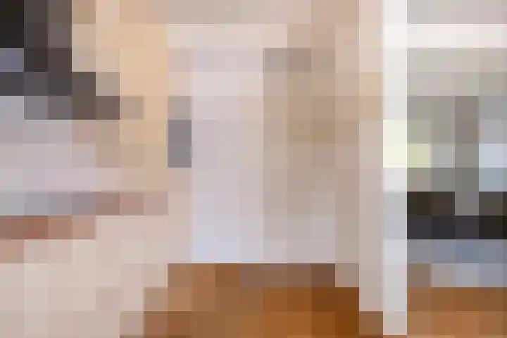 Kamillestraat 21 Scharendijke thumbnail 8