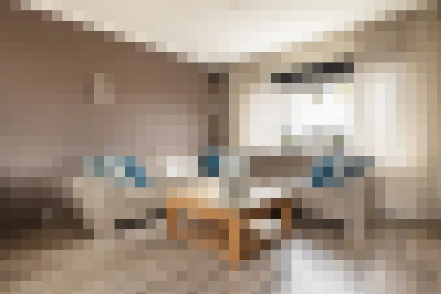 Kamillestraat 24 Amsterdam thumbnail 4