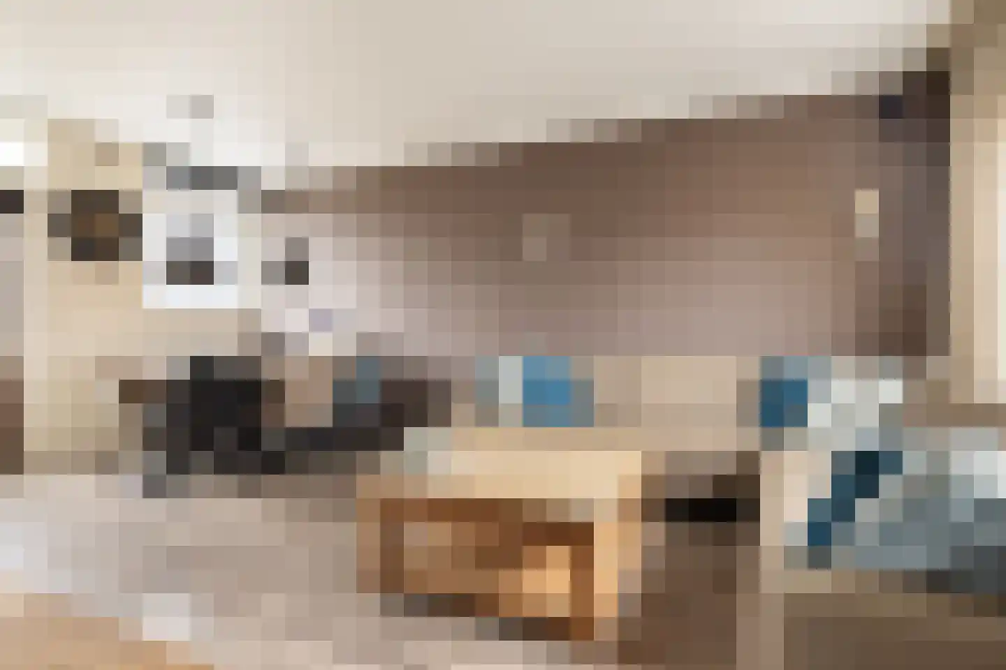 Kamillestraat 24 Amsterdam thumbnail 7