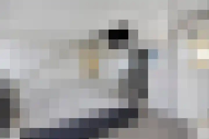 Kamillestraat 3 Beek en Donk thumbnail 18