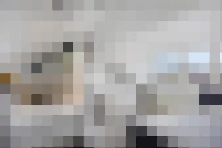 Kamillestraat 3 Beek en Donk thumbnail 20
