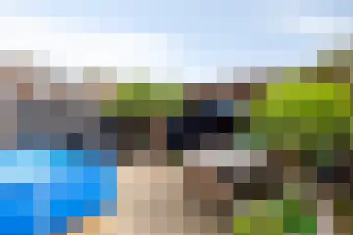 Kamillestraat 3 Beek en Donk thumbnail 23