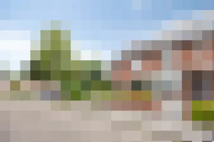 Kamillestraat 3 Beek en Donk thumbnail 25