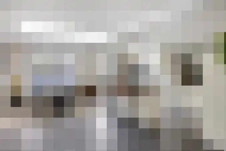 Kamillestraat 3 Beek en Donk thumbnail 6